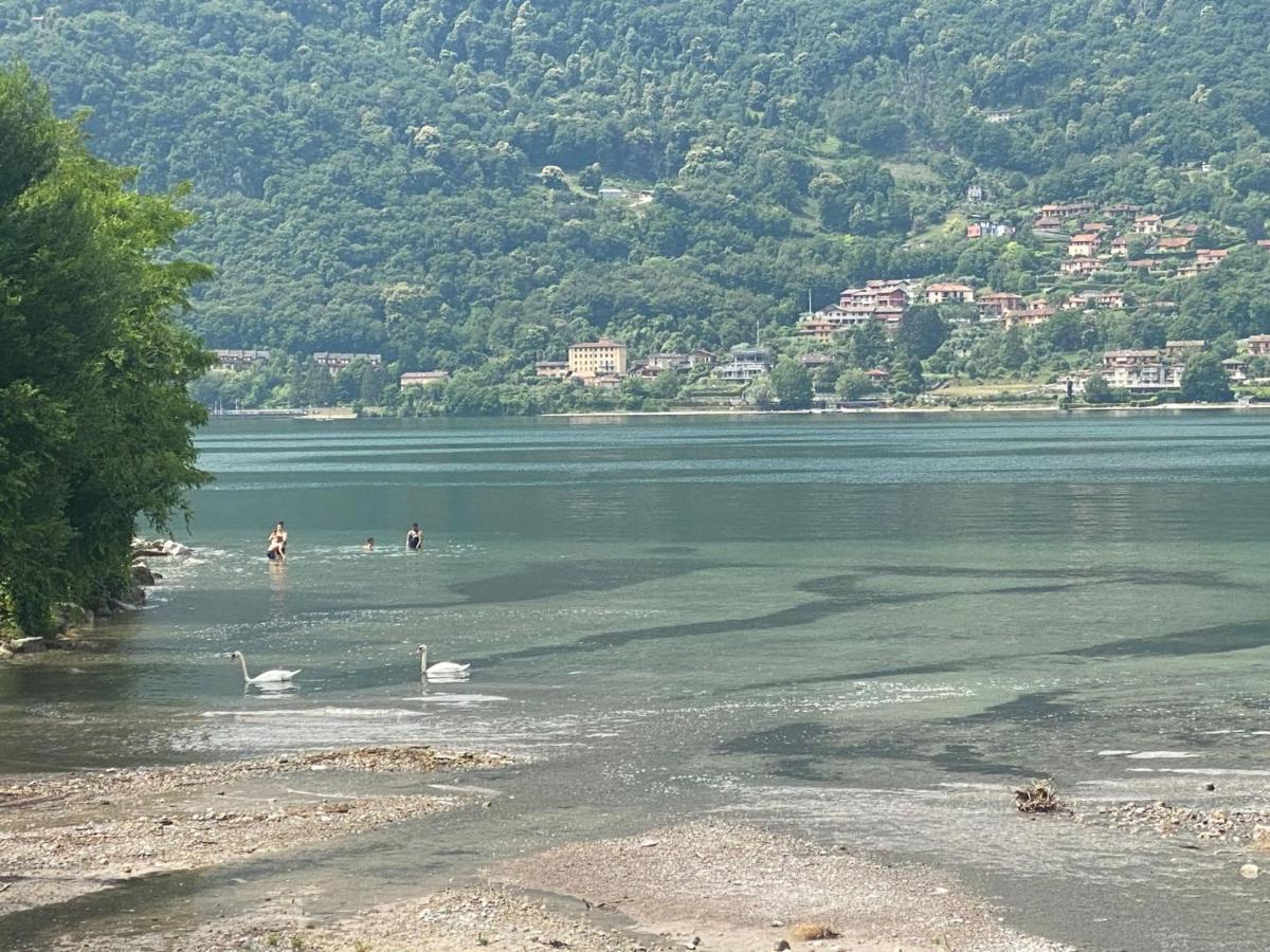Villa The Swan - Composed By 2 Apartments Mandello del Lario Eksteriør bilde